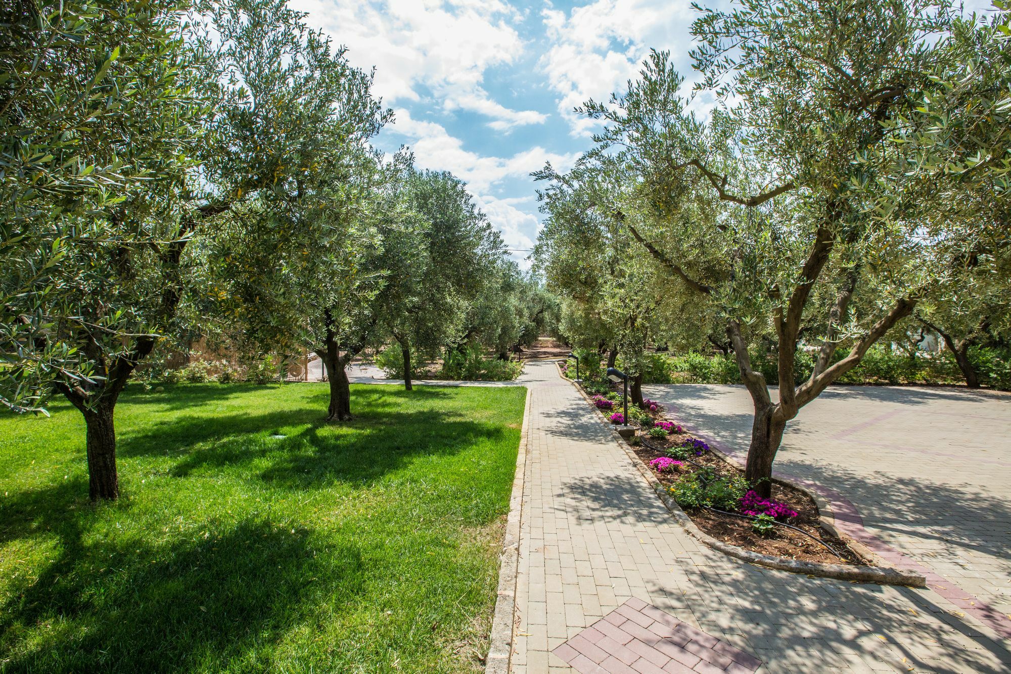 Dimora Tenuta Solentino 토레 산 지오반니 우겐토 외부 사진